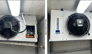 Cold room after repair – new evaporator installed, proper airflow restored.